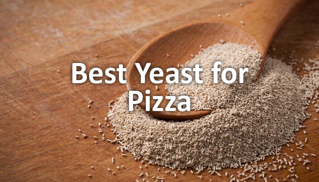 best yeast for pizza dough